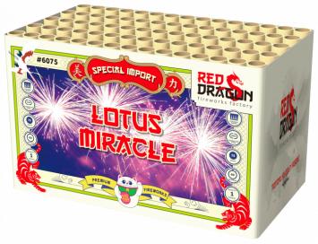 Lotus Miracle